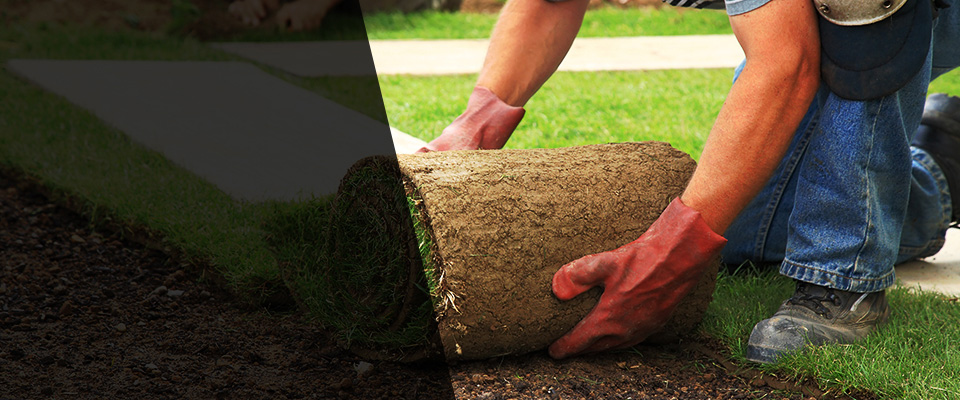 Greeneville Landscapers